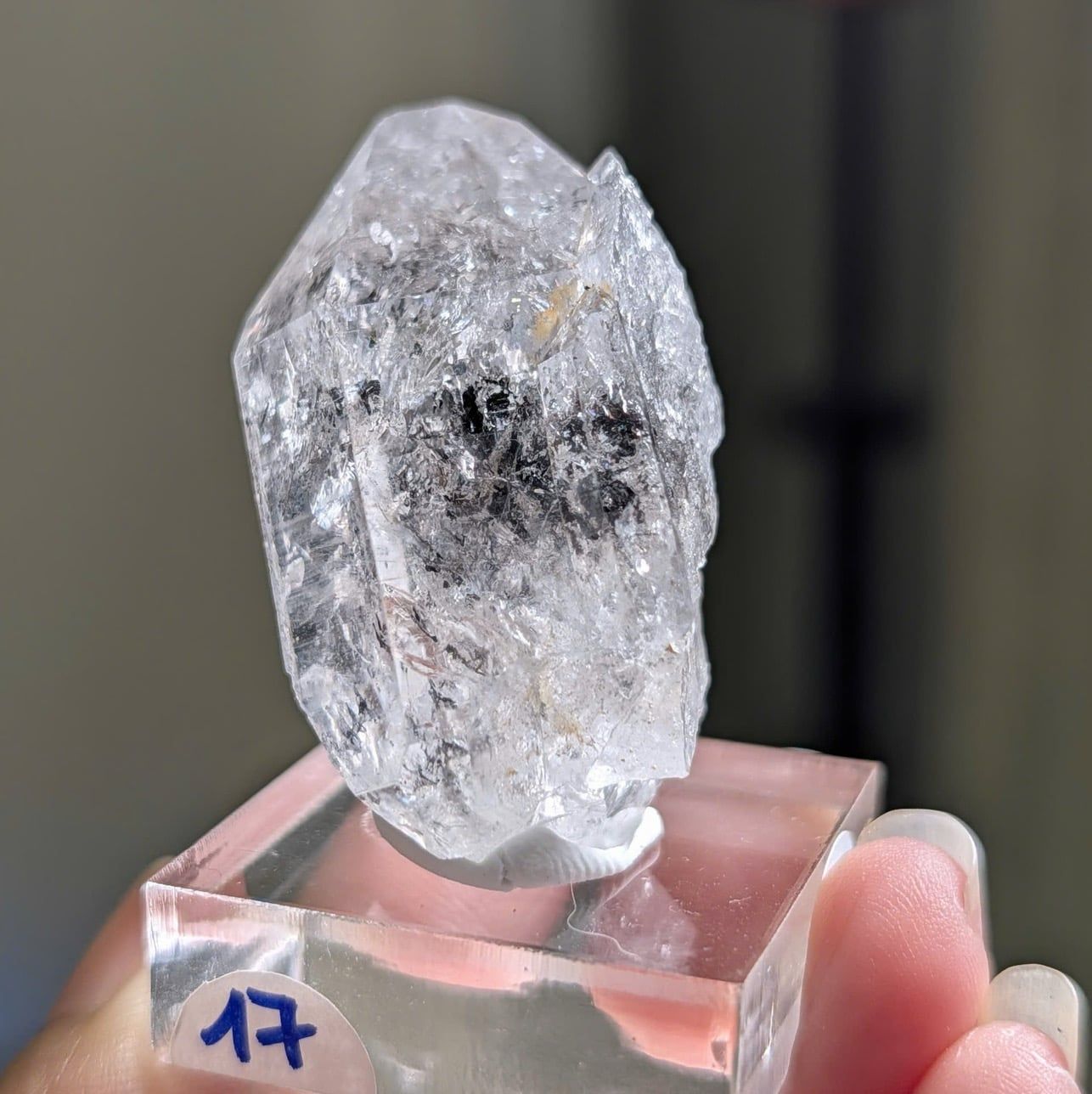  Tinh thể Carbon | Skelaton | Window Clay Quartz 