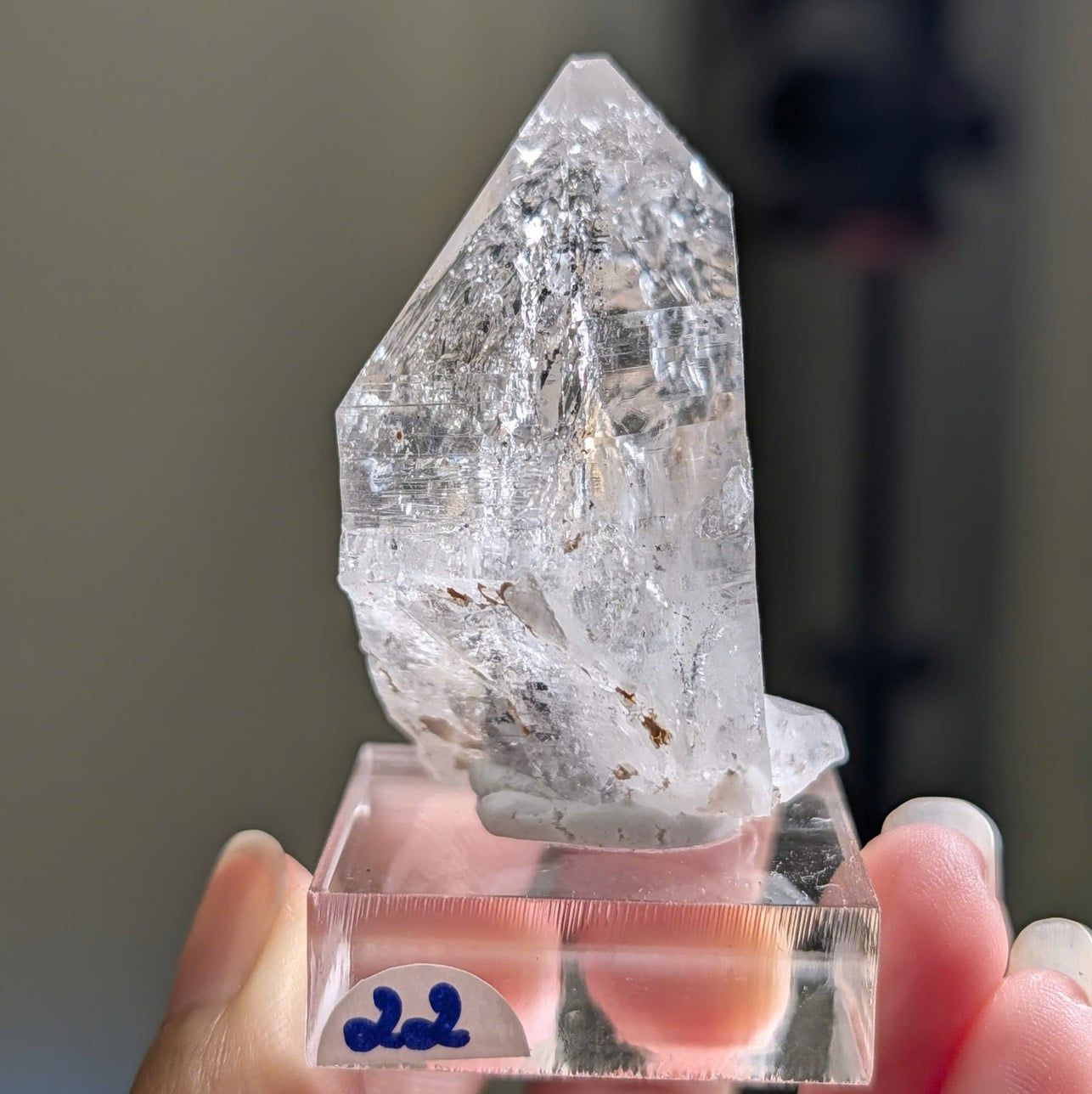  Tinh thể Carbon | Skelaton | Window Clay Quartz 