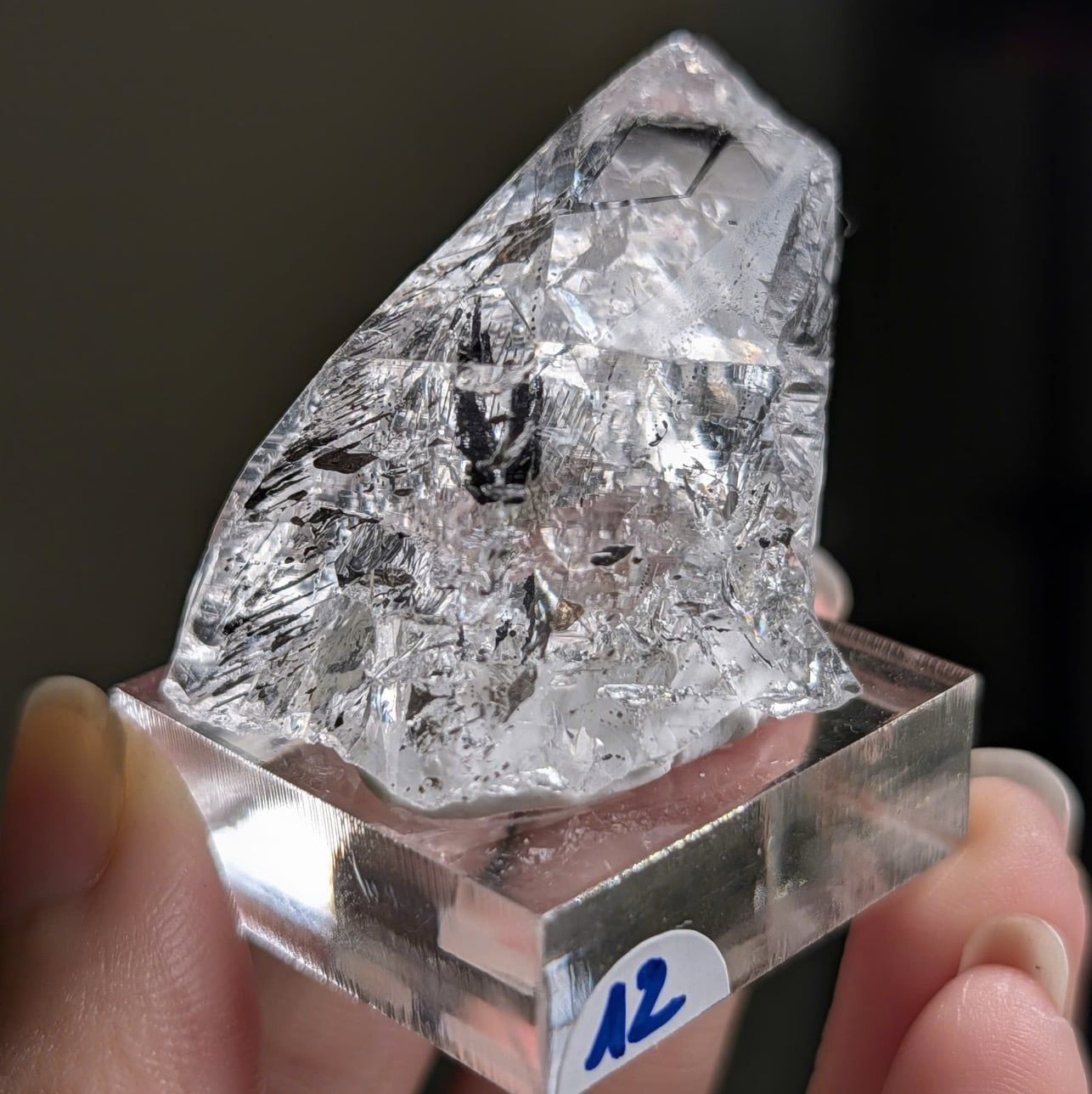  Tinh thể Carbon | Skelaton | Window Clay Quartz 