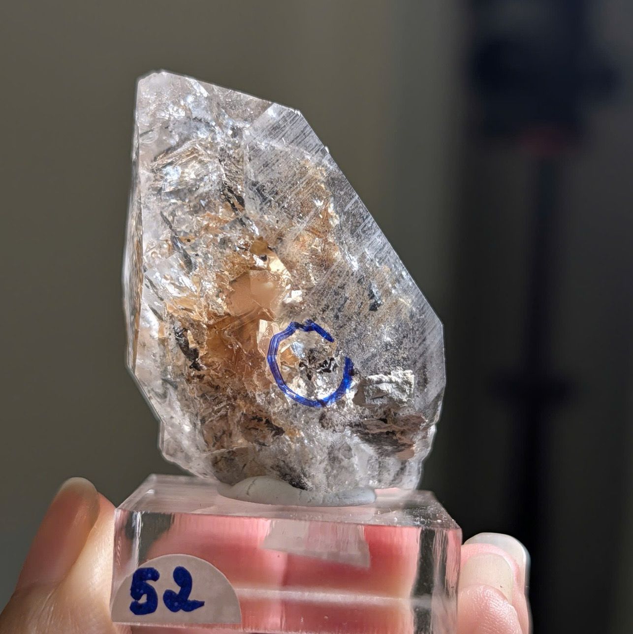  Tinh thể Carbon | Skelaton | Window Clay Quartz 