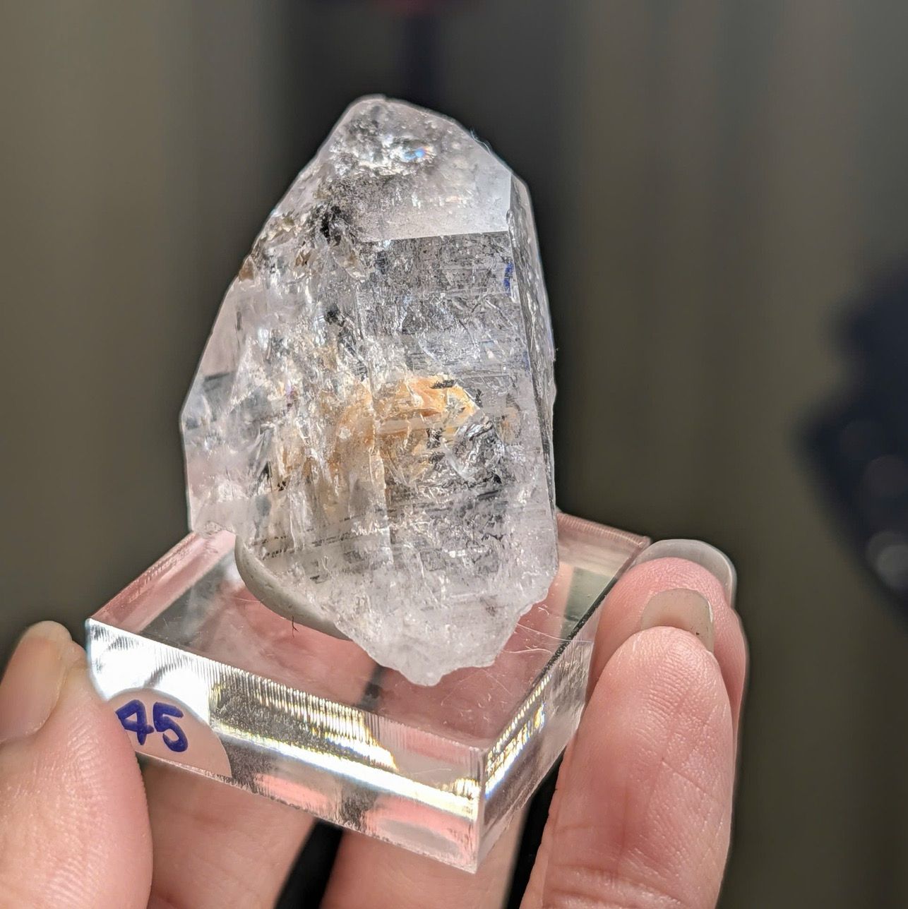  Tinh thể Carbon | Skelaton | Window Clay Quartz 