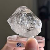  Tinh thể Carbon | Skelaton | Window Clay Quartz 
