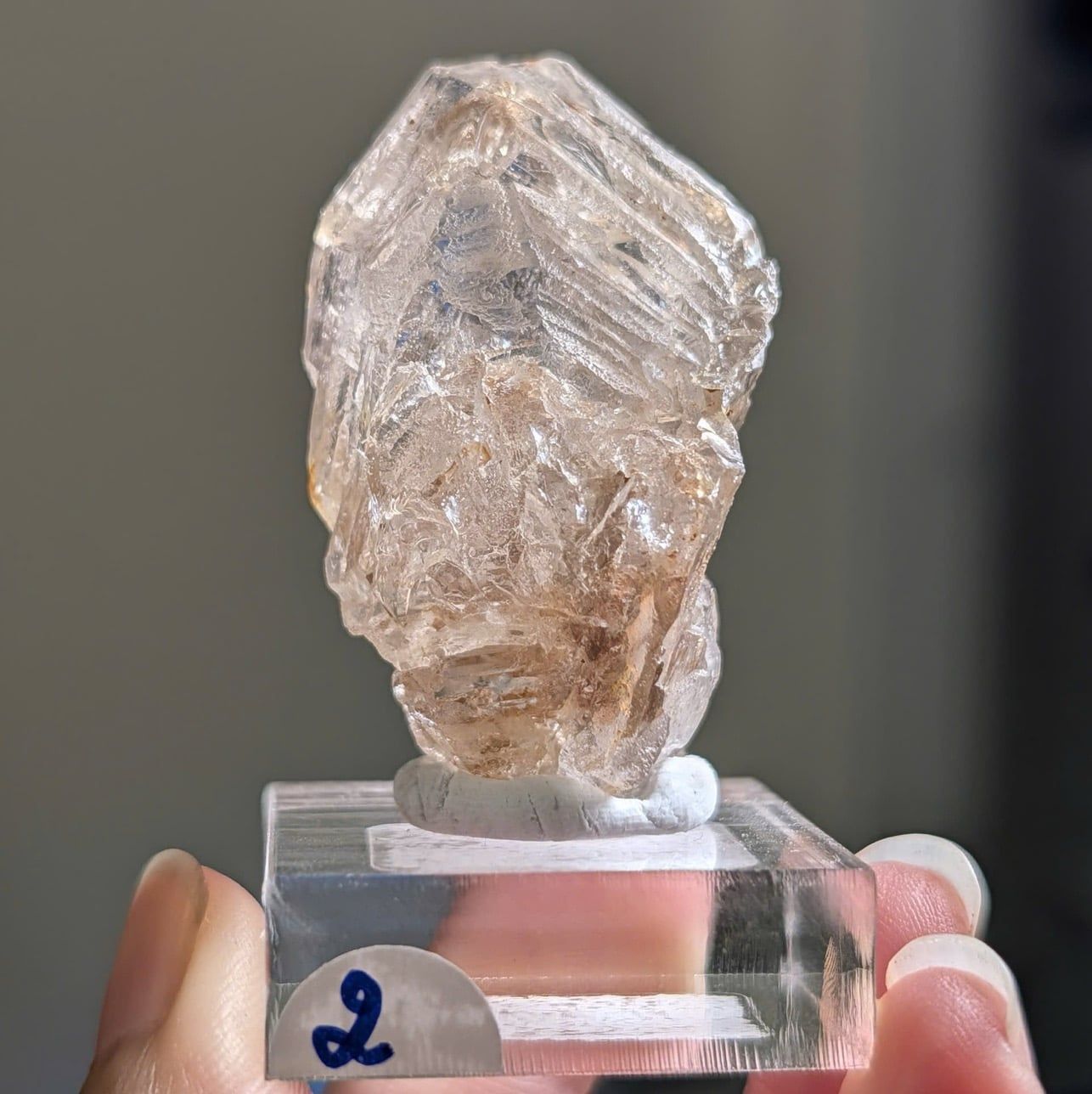  Tinh thể Carbon | Skelaton | Window Clay Quartz 