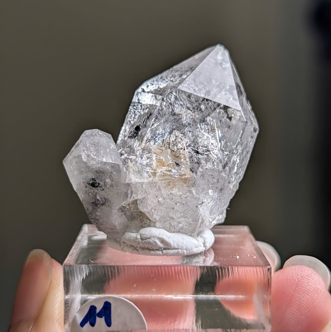  Tinh thể Carbon | Skelaton | Window Clay Quartz 