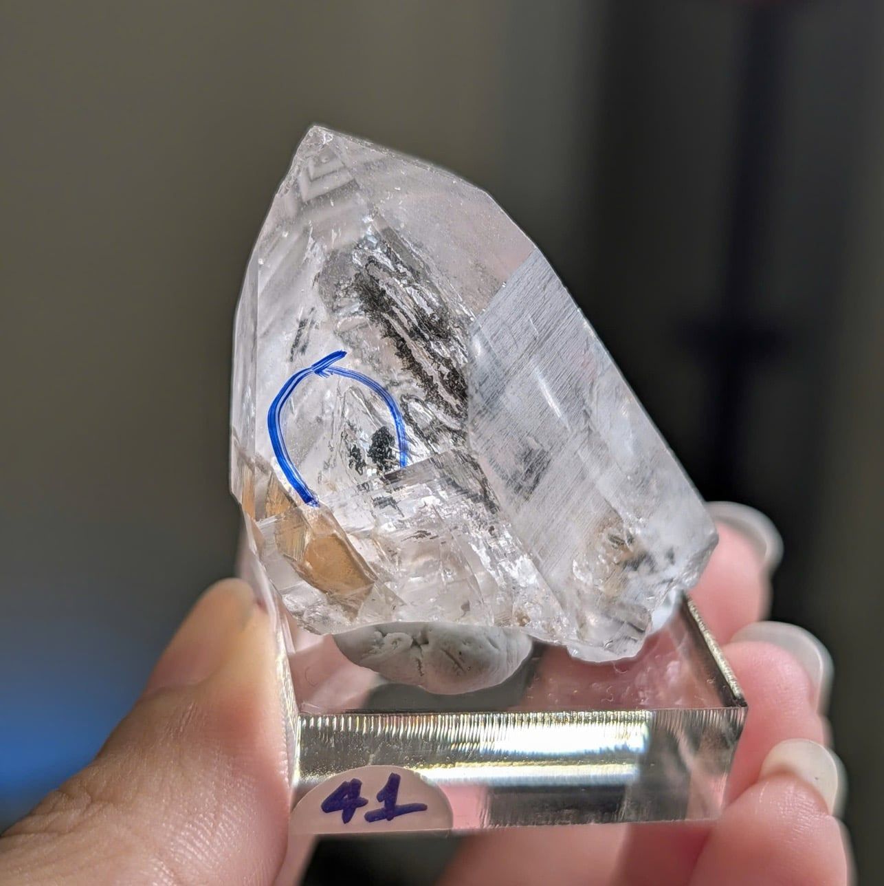  Tinh thể Carbon | Skelaton | Window Clay Quartz 