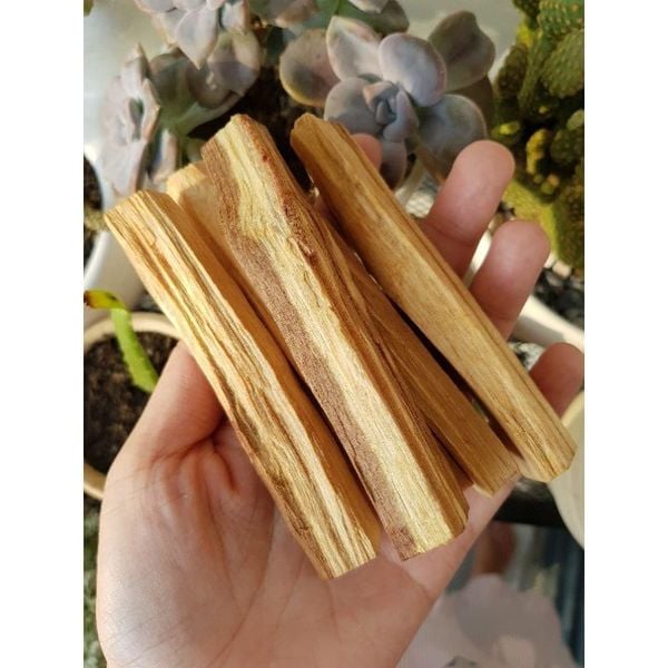  Gỗ Palo Santo ECUADOR - Gỗ Trắc Xanh 