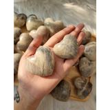  Tim đá Mặt trăng (Rainbow Moonstone Palm) tự nhiên, đá thanh tẩy trong Tarot, Reiki, thiền định, phong thủy 