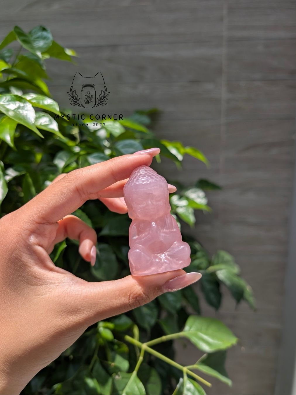  Tượng Phật Thích Ca Thạch Anh Hồng/ Rose Quartz Madagascar 5.5cm 