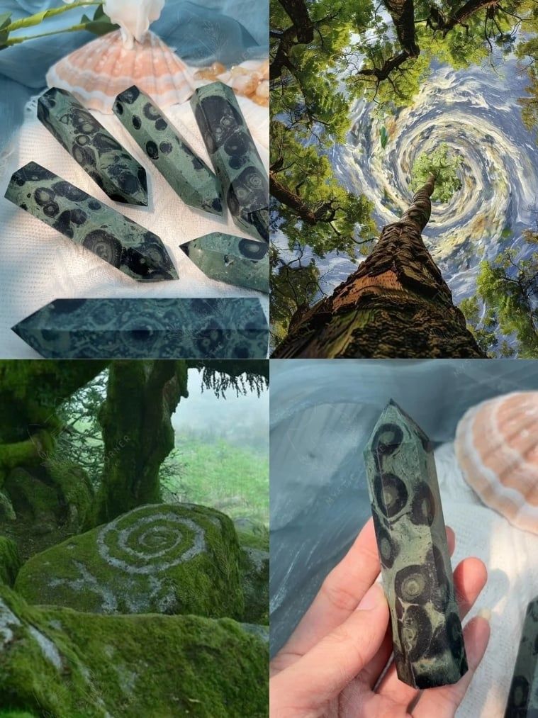  Trụ Kambaba Tự Nhiên Hỗ trợ Ổn Định Cảm Xúc, Năng Lượng Bình Yên, Thanh Tẩy, Tarot, Reiki, Chữa Lành 