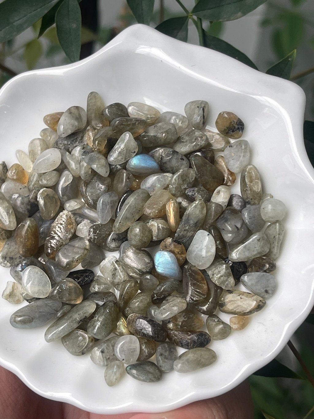  Vụn đá Labradorite 0.5-2cm đá xà cừ, thanh tẩy bài Tarot, thiền định, hỗ trợ trực giác, sáng suốt 