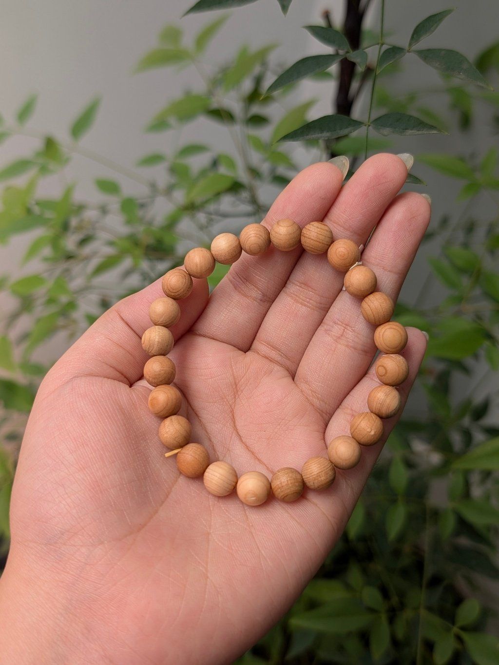  Vòng Gỗ Ngọc Am size 8mm 