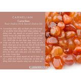  Viên đá thô mã não Carnelian (Carnelian Agate) đá thanh tẩy Tarot, Reiki, phong thủy, thiền định 