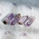  [HIẾM] Tinh thể Thạch anh Tím Vera Cruz Amethyst in Mexico 