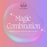  Set Combo đá kết hợp theo công dụng, đá thạch anh, đá thanh tẩy bài Tarot, đá phong thủy 