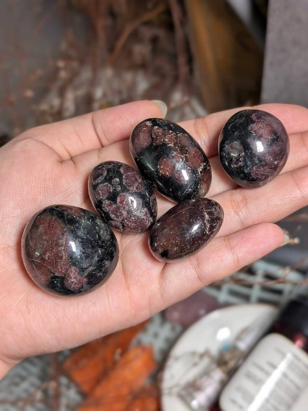  Tumbled Garnet Amphibolite đá thanh tẩy, đá năng lượng, đá phong thuỷ | Mystic Corner 