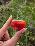  Tim Đá Carnelian tự nhiên, thúc đẩy động lực, nhiệt huyết, hành động, phong thuỷ, đá thanh tẩy Tarot 