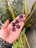  Viên đá thạch anh Tím (TUMBLED Amethyst) làm Grid, đá thanh tẩy Tarot, Reiki, thiền định, phong thủy 