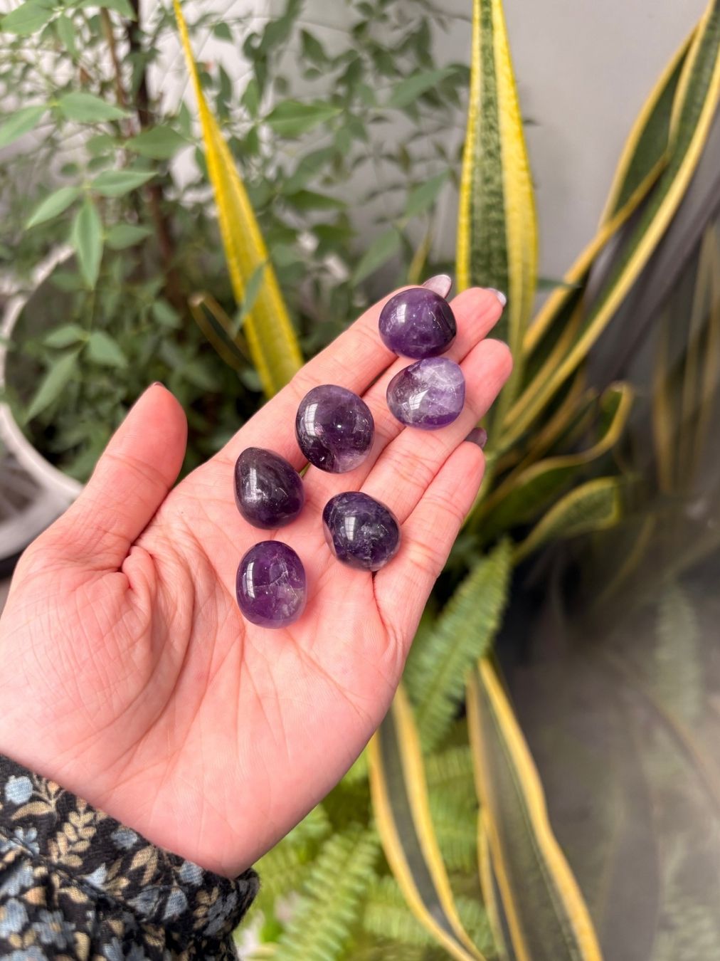  Viên đá thạch anh Tím (TUMBLED Amethyst) làm Grid, đá thanh tẩy Tarot, Reiki, thiền định, phong thủy 