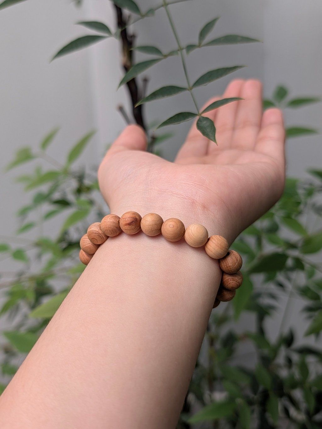  Vòng Gỗ Ngọc Am size 8mm 