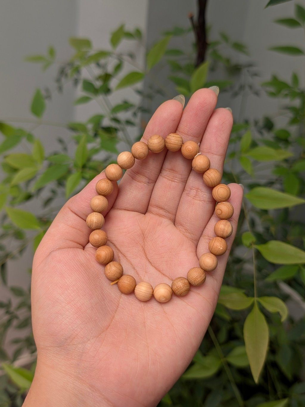  Vòng Gỗ Ngọc Am size 8mm 