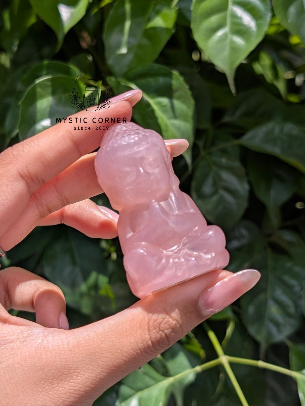  Tượng Phật Thích Ca Thạch Anh Hồng/ Rose Quartz Madagascar 5.5cm 