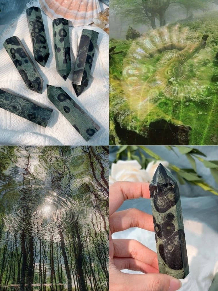  Trụ Kambaba Tự Nhiên Hỗ trợ Ổn Định Cảm Xúc, Năng Lượng Bình Yên, Thanh Tẩy, Tarot, Reiki, Chữa Lành 