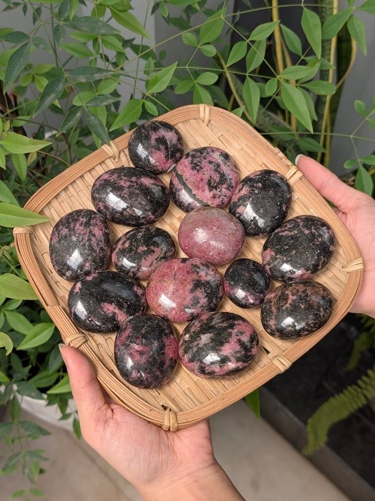  Viên Palm Đá Tường Vi Rhodonite Chữa Lành Cảm Xúc Cộng Sinh Black Tourmaline| Thanh Tẩy Tarot, Reiki 