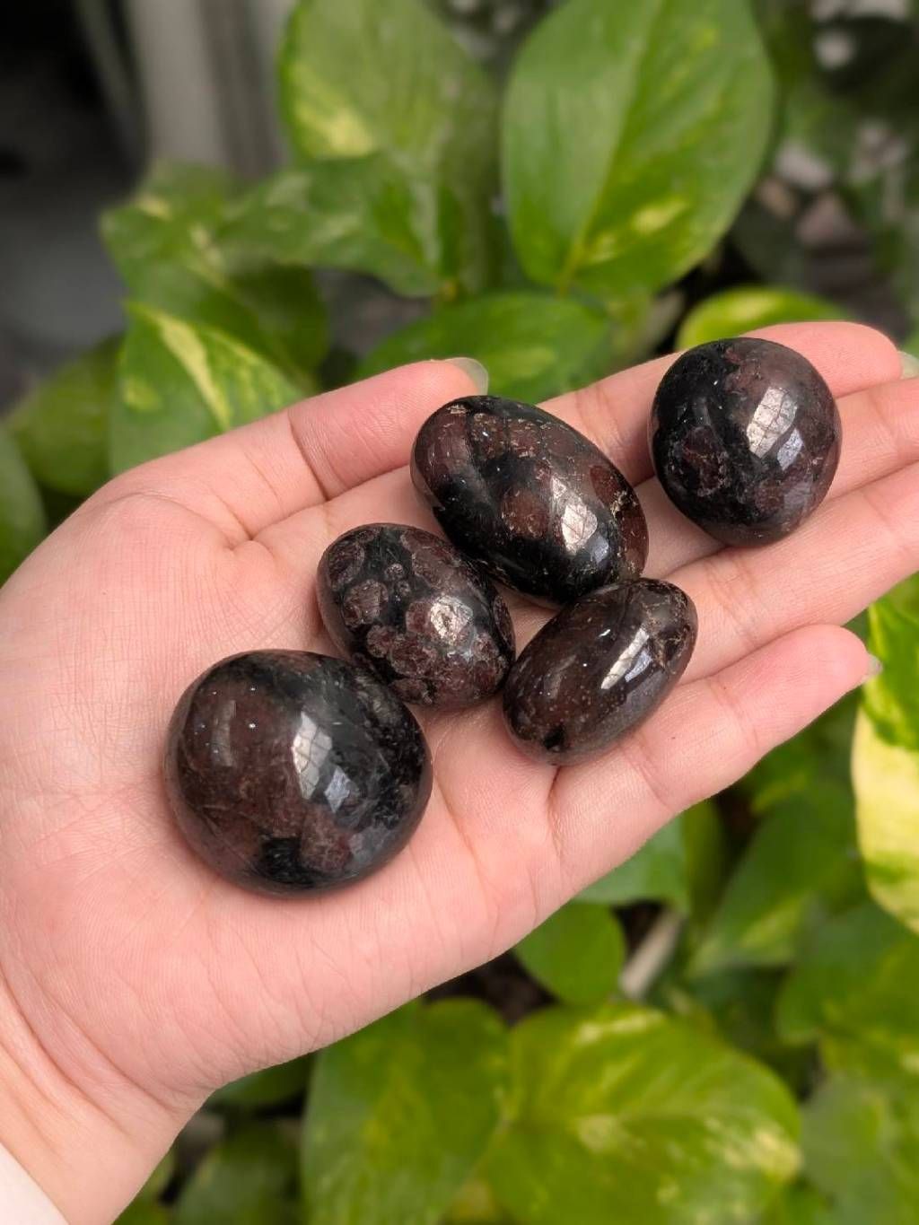  Tumbled Garnet Amphibolite đá thanh tẩy, đá năng lượng, đá phong thuỷ | Mystic Corner 