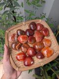  Tim Đá Carnelian tự nhiên, thúc đẩy động lực, nhiệt huyết, hành động, phong thuỷ, đá thanh tẩy Tarot 