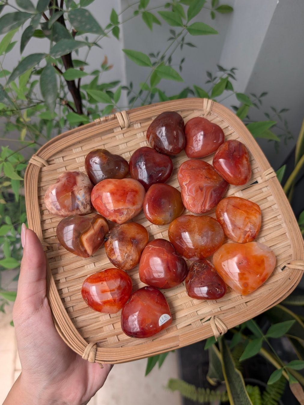  Tim Đá Carnelian tự nhiên, thúc đẩy động lực, nhiệt huyết, hành động, phong thuỷ, đá thanh tẩy Tarot 