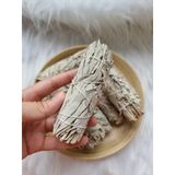  Xô thơm trắng (White Sage) thanh tẩy không gian, xông nhà, dùng trong phong thủy, bài Tarot, Reiki, healing, thiền định 