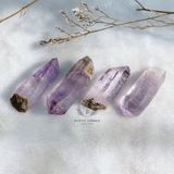  [HIẾM] Tinh thể Thạch anh Tím Vera Cruz Amethyst in Mexico 