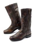  |SIZE 37| FRYE 77283 HEATH OUTSIDE ZIP MAPLE  PULL-ON BOOT Z37-8496 