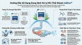 Hướng Dẫn Sử Dụng AdBlue Ford Motorcraft Chính Hãng Madim: Tối Ưu Hiệu Suất & Bảo Vệ Động Cơ