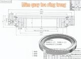 Hình ảnh chi tiết cấu tạo vòng bi của mâm quay toa cẩu tháp Zoomlion TC7035-16