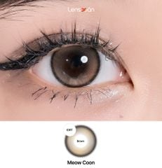 Lens 1 ngày Meow Coon Brown - IDIFF