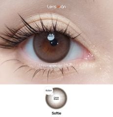 Lens 1 ngày Softie Cocoa Brown - Olola