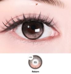 Lens 1 ngày Reborn Rosy Wood - I-Sha