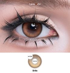 Lens 1 ngày Brille Caramel - MYFiPN
