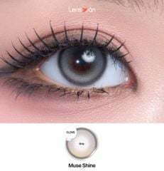 Lens 1 ngày Muse Gray - OLENS