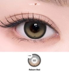 Lens 1 ngày Reborn Red Creamy Brown - I-Sha