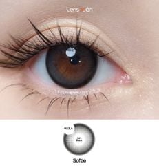 Lens 1 ngày Softie Ash Black - Olola