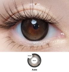 KIVR Aube Brown - OLOLA