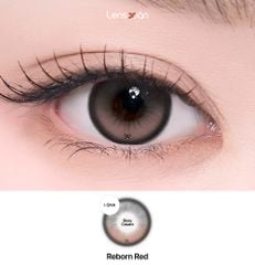 Lens 1 ngày Reborn Red Rosy Cream - I-Sha