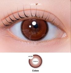 Cobee Chestnut - MYFiPN