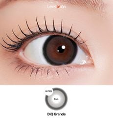 Lens 1 ngày DiQ Black - MYFiPN