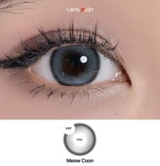 Lens 1 ngày Meow Coon Gray - IDIFF