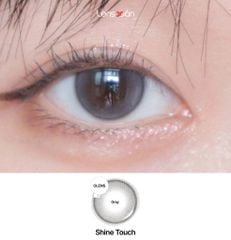 Lens 1 ngày Shine Touch Gray - OLENS