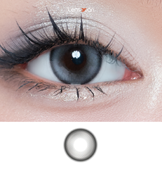 Meow Coon Gray - IDIFF