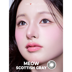 Meow Scottish Gray - IDIFF